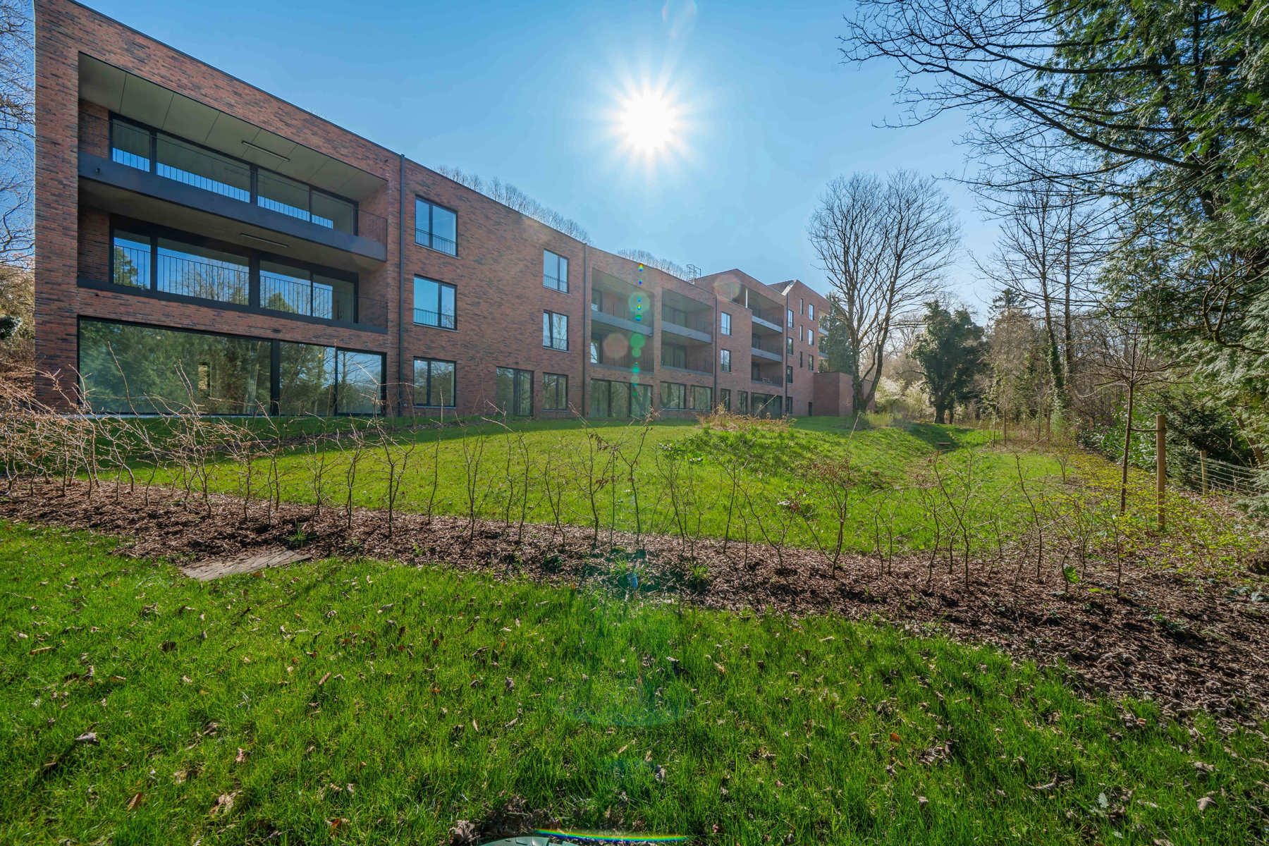 Illustration de la galerie