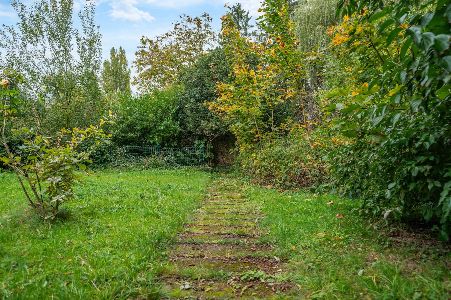 Illustration de la galerie