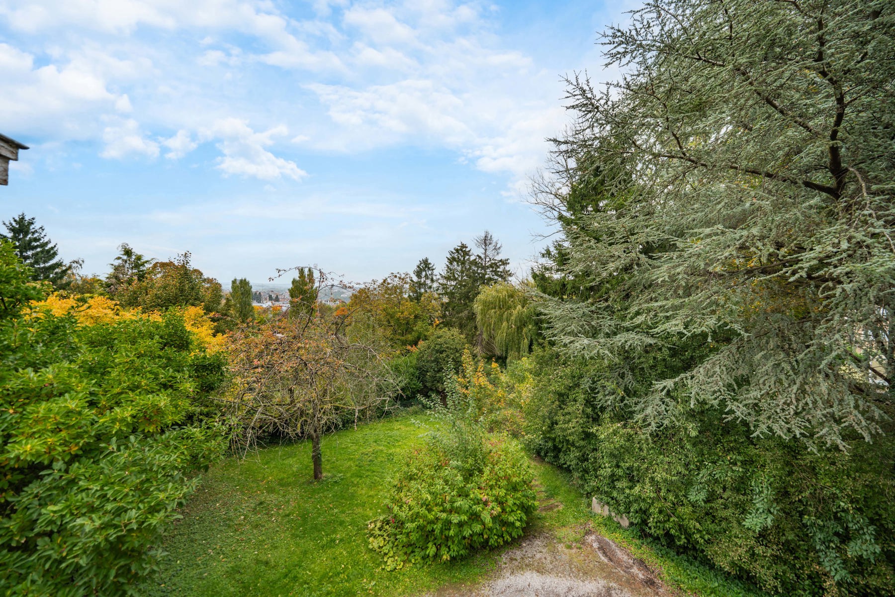 Illustration de la galerie