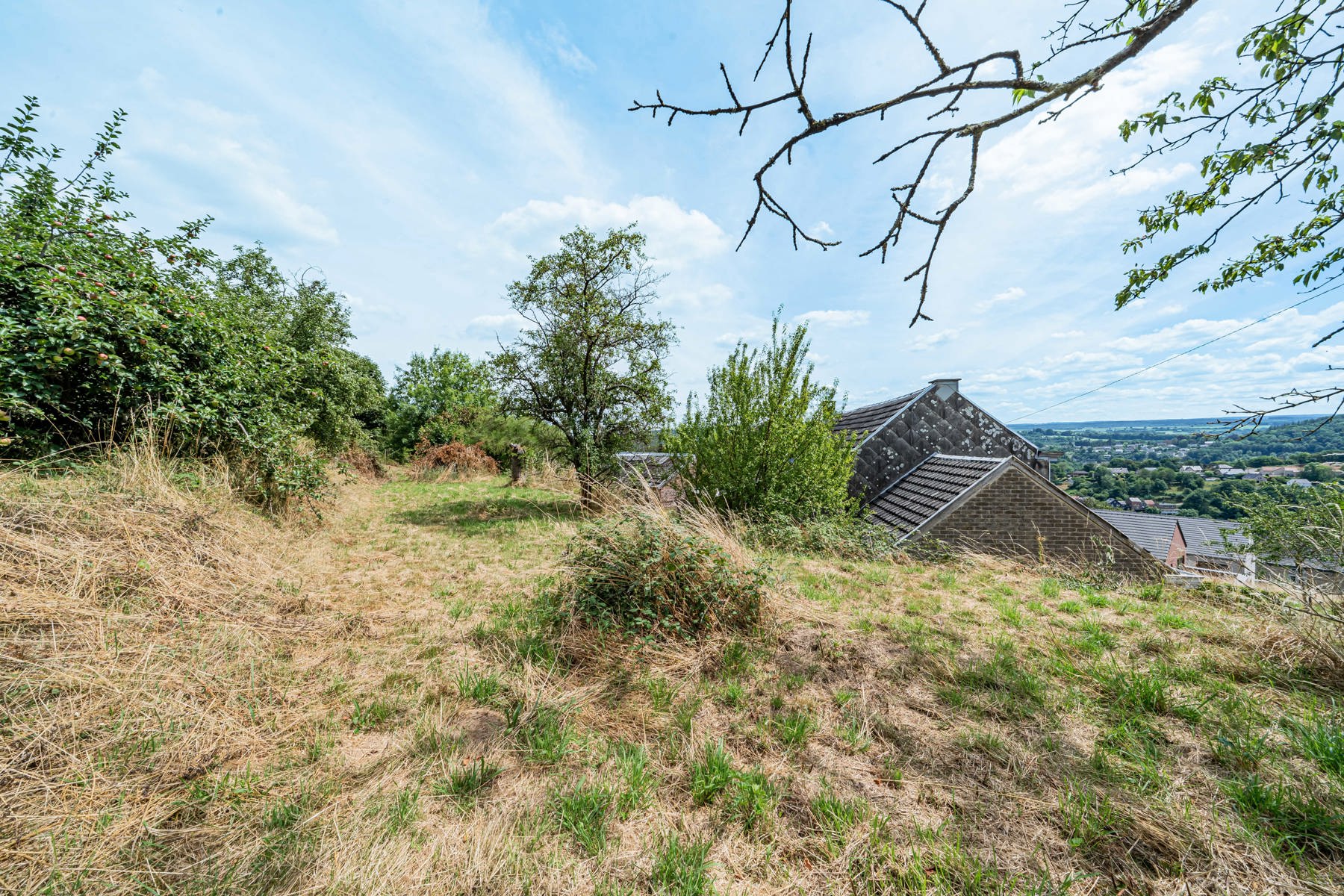 Illustration de la galerie