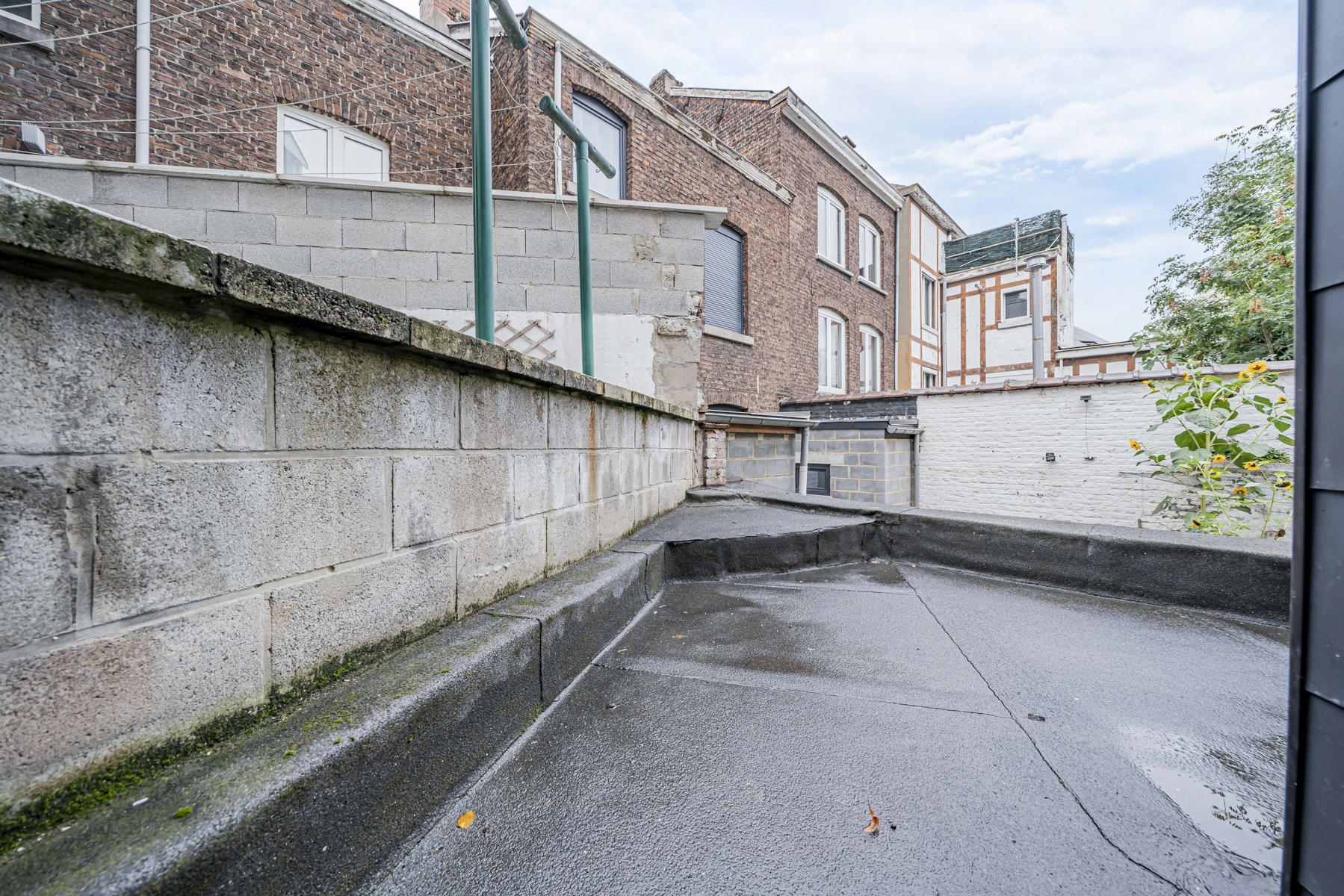 Illustration de la galerie