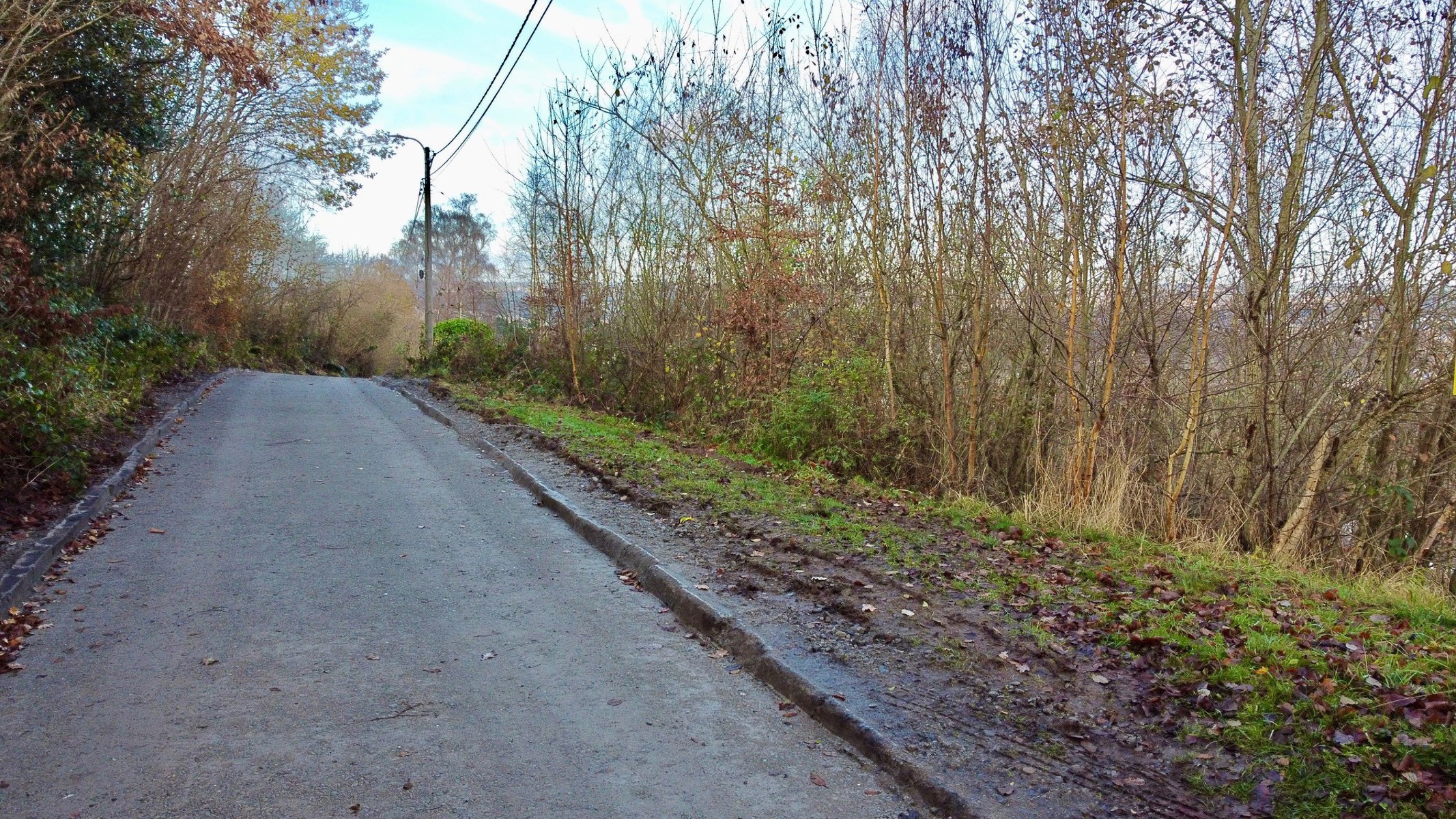 Illustration de la galerie