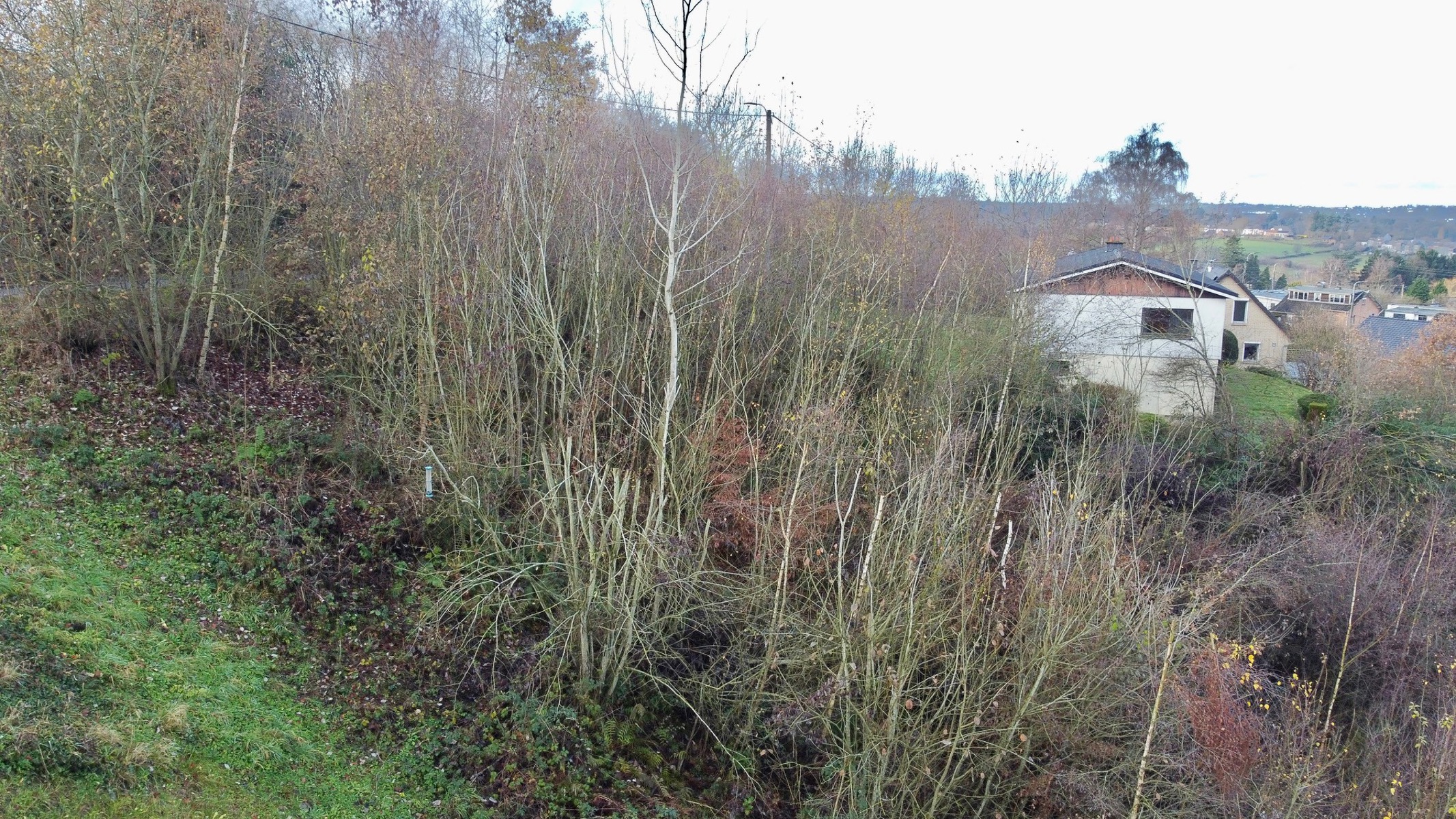 Illustration de la galerie