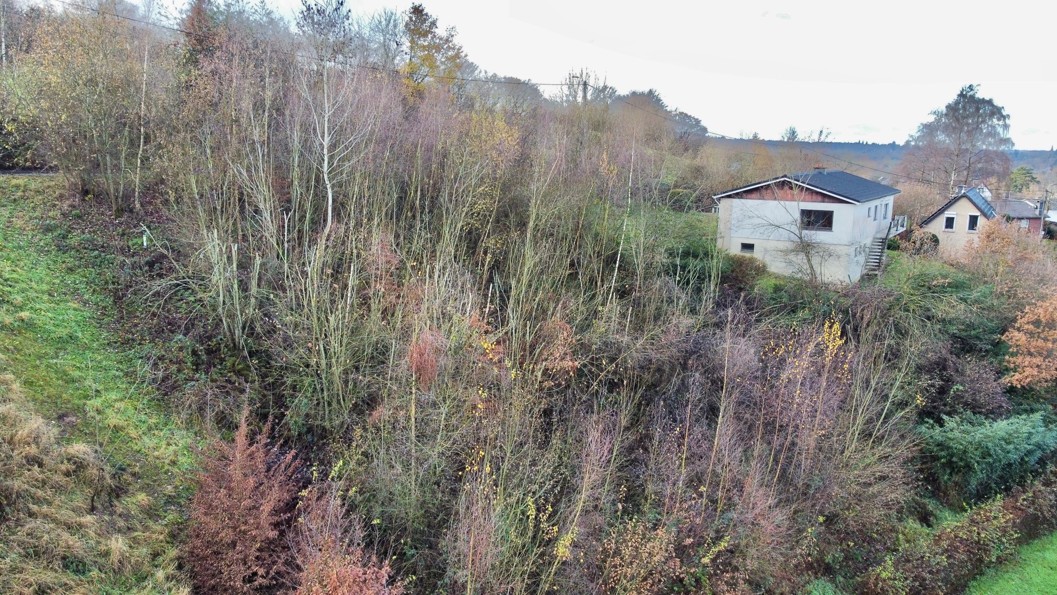 Illustration de la galerie