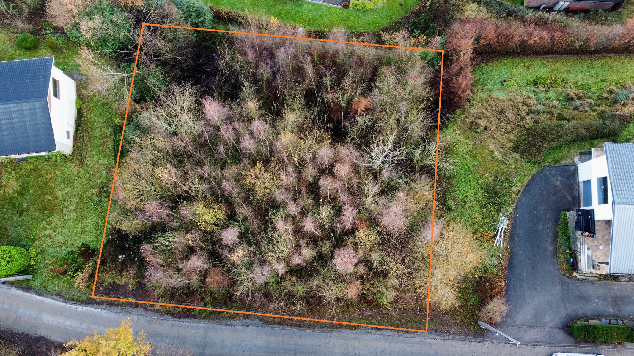 Illustration de la galerie