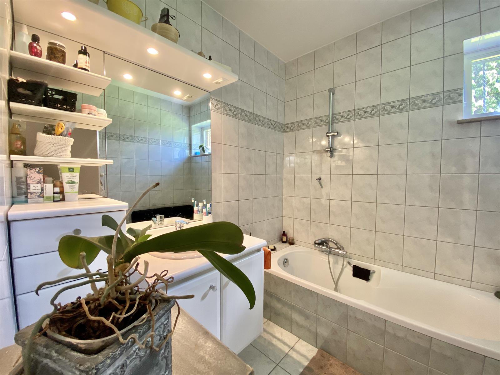 Illustration de la galerie